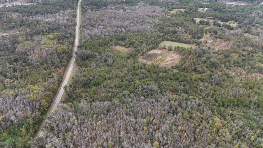 5000 Northwest Little Cat Road Madison, FL 32340 - Photo 11 of 24