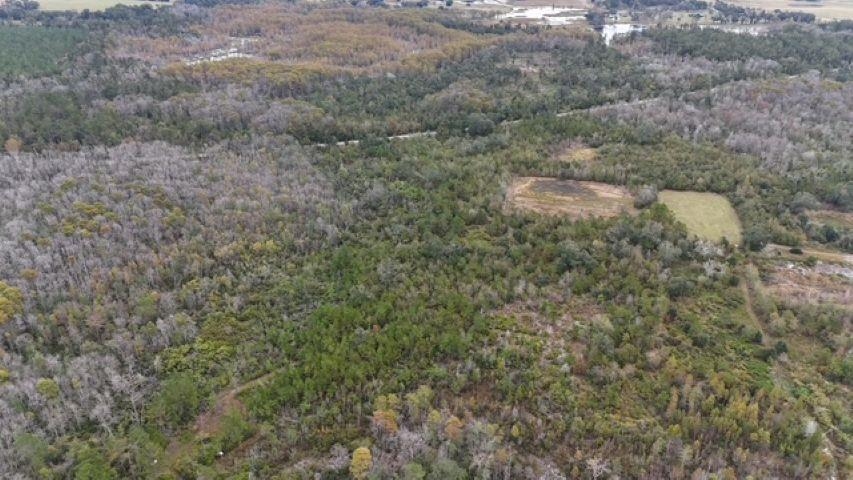 5000 Northwest Little Cat Road Madison, FL 32340 - Photo 13 of 24