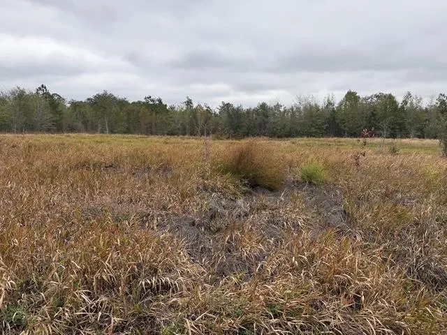 $598,500 | 5000 Northwest Little Cat Road, Madison, FL 32340