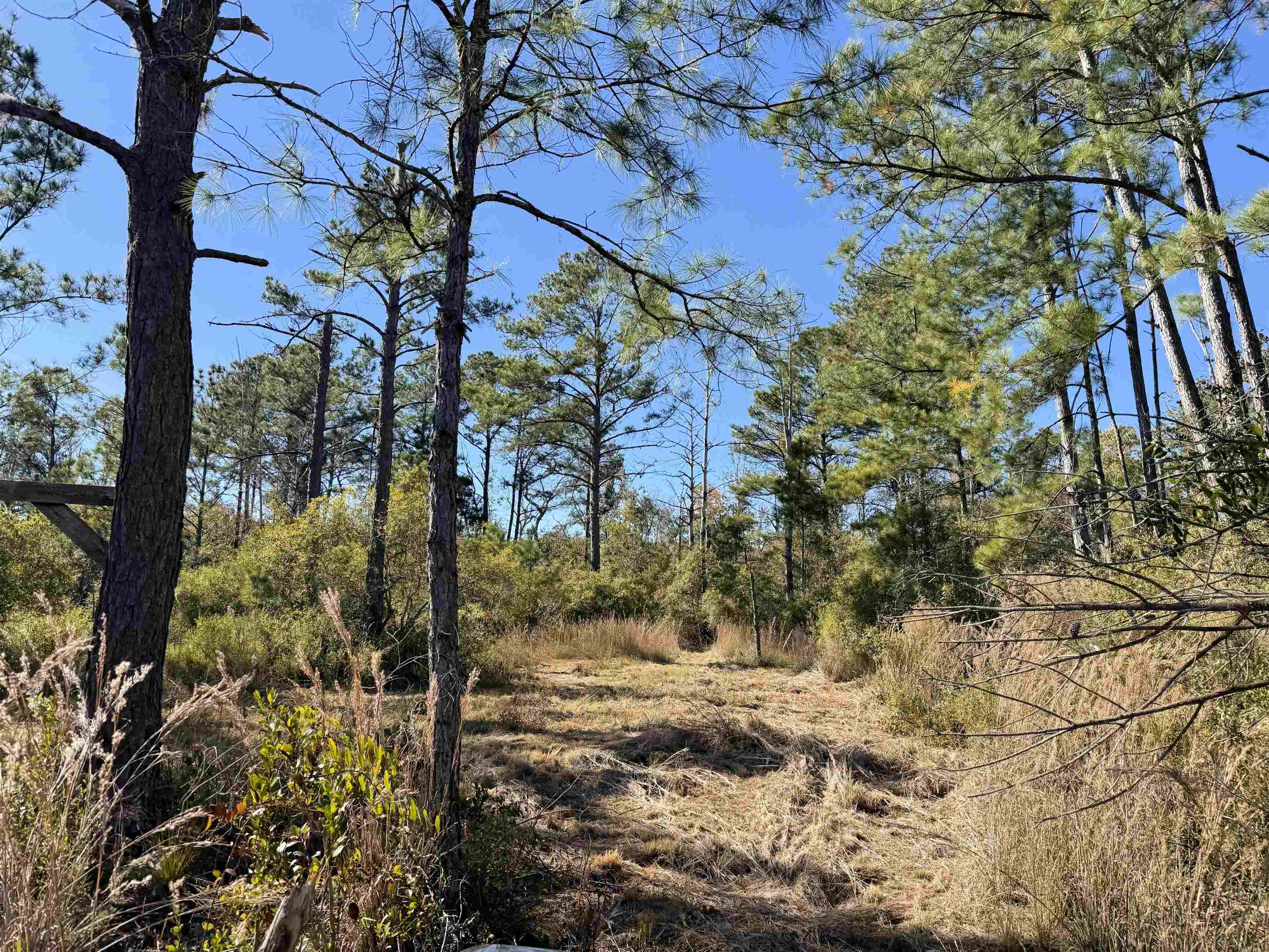 5000 Northwest Little Cat Road Madison, FL 32340 - Photo 20 of 24