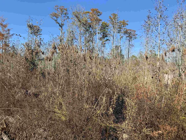 $598,500 | 5000 Northwest Little Cat Road, Madison, FL 32340