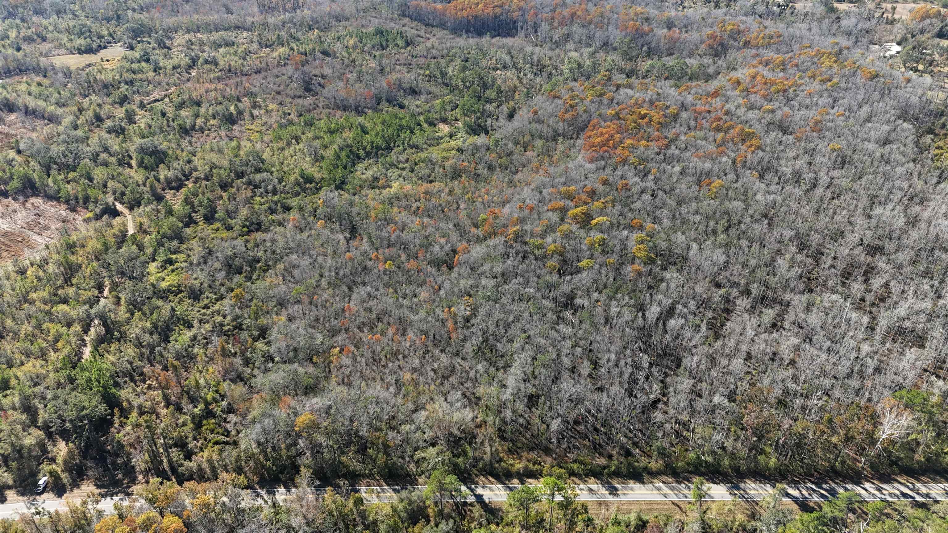 5000 Northwest Little Cat Road Madison, FL 32340 - Photo 9 of 24