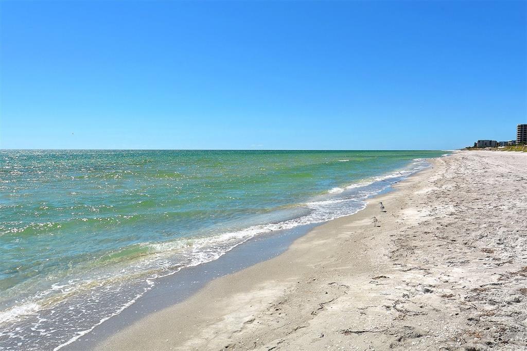 1050 Longboat Club Road, Unit 903 Longboat Key, FL 34228 - Photo 87 of 91