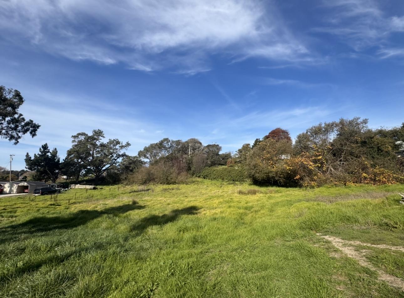 31-37 Miller Road Watsonville, CA 95076 - Photo 3 of 7 a view of a grassy field with trees