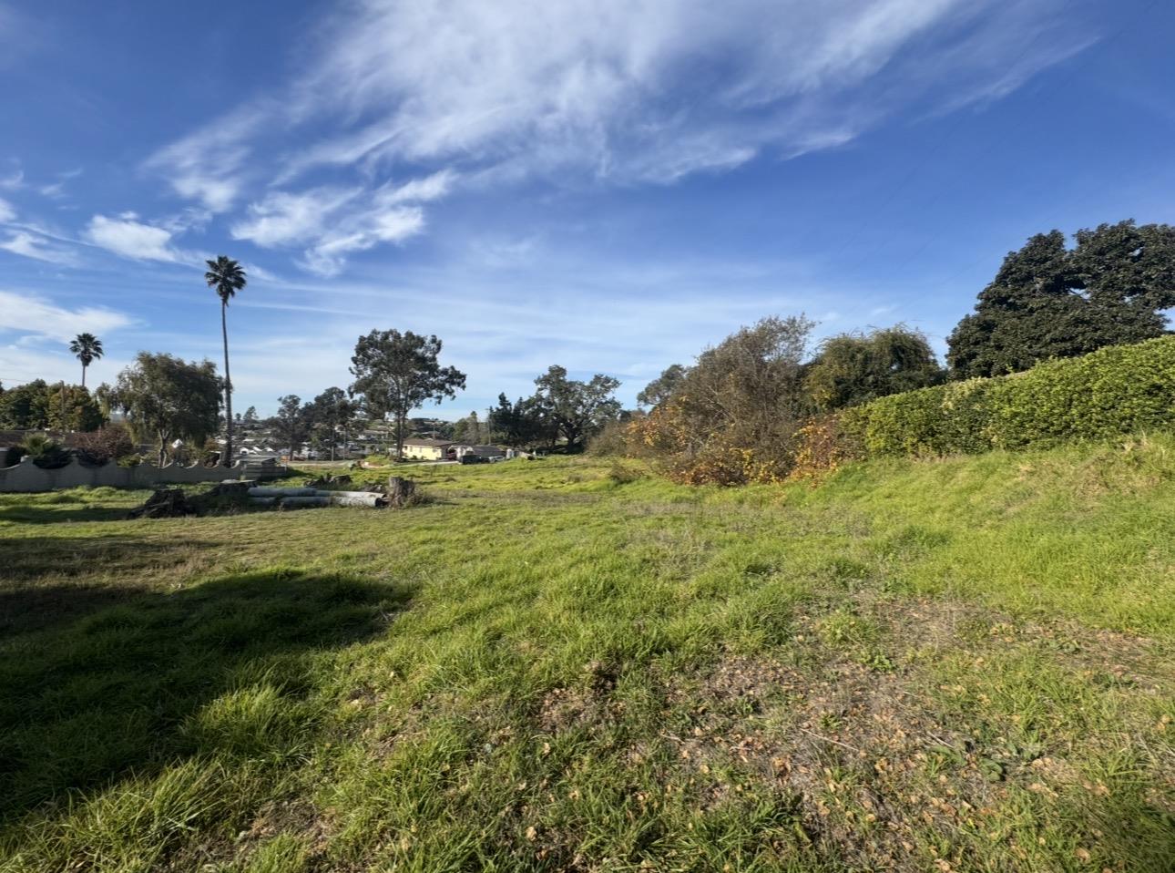 31-37 Miller Road Watsonville, CA 95076 - Photo 4 of 7 a view of a grassy field with trees