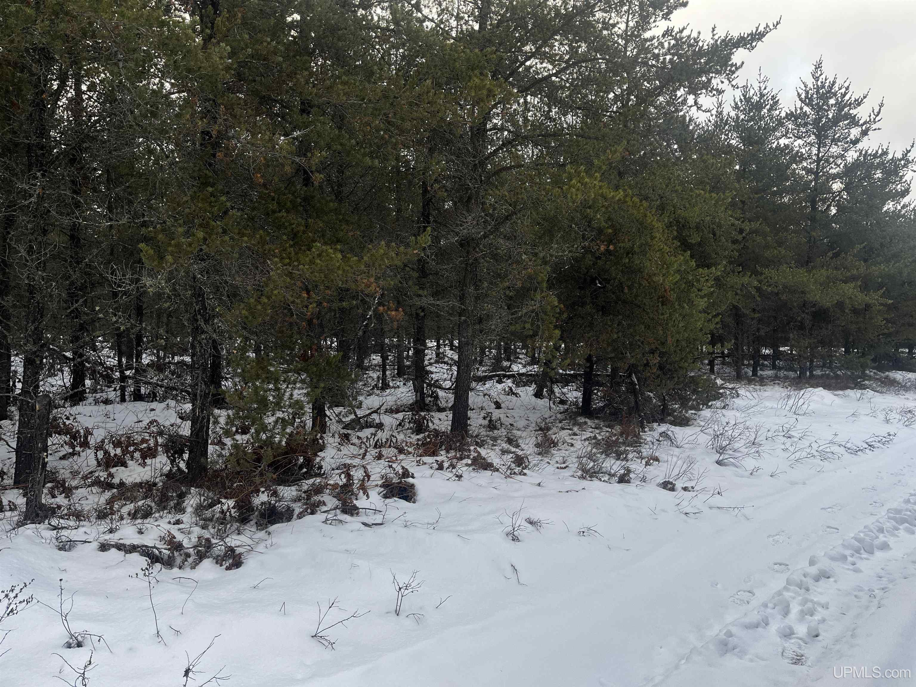 2 Rice Lake Road Gwinn, MI 49841 - Photo 15 of 24