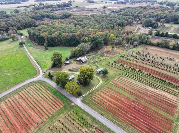 a view of a garden with an outdoor seating