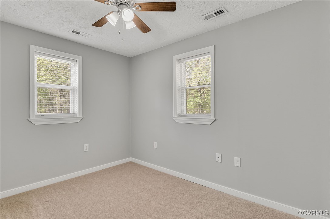 10700 Walton Lake Road Disputanta, VA 23842 - Photo 16 of 21 Gallery Image 16