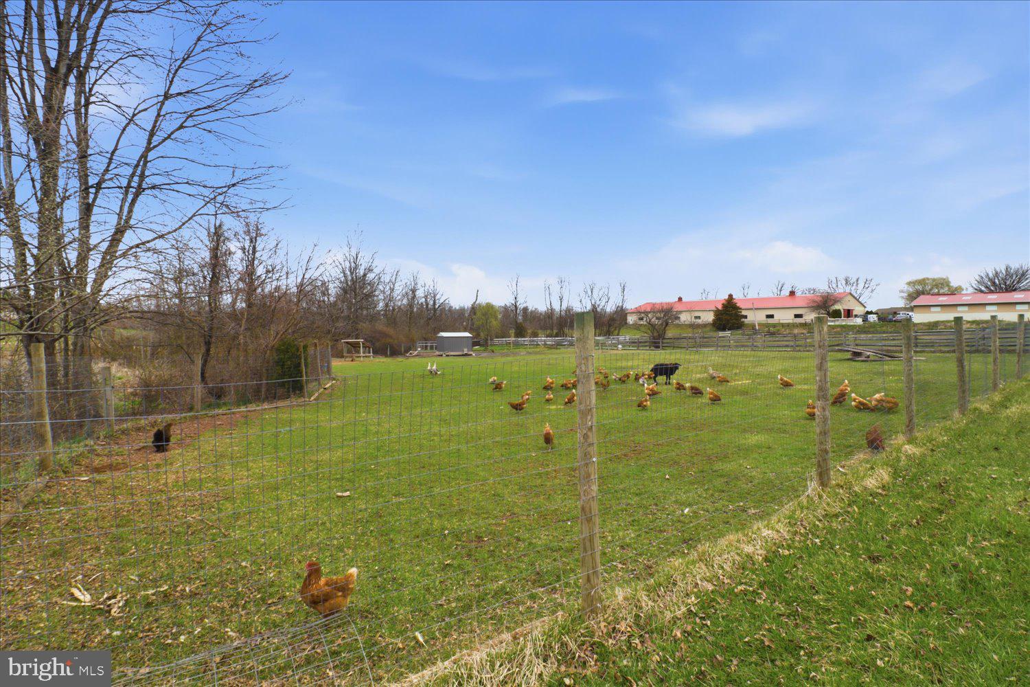 141 Bell Road Palmyra, PA 17078 - Photo 4 of 62 Gallery Image 4