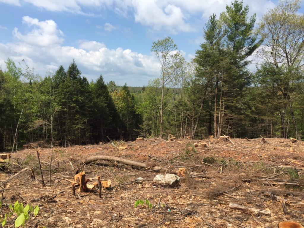 113 Gile Road Fayette, ME 04349 - Photo 2 of 5 Photo