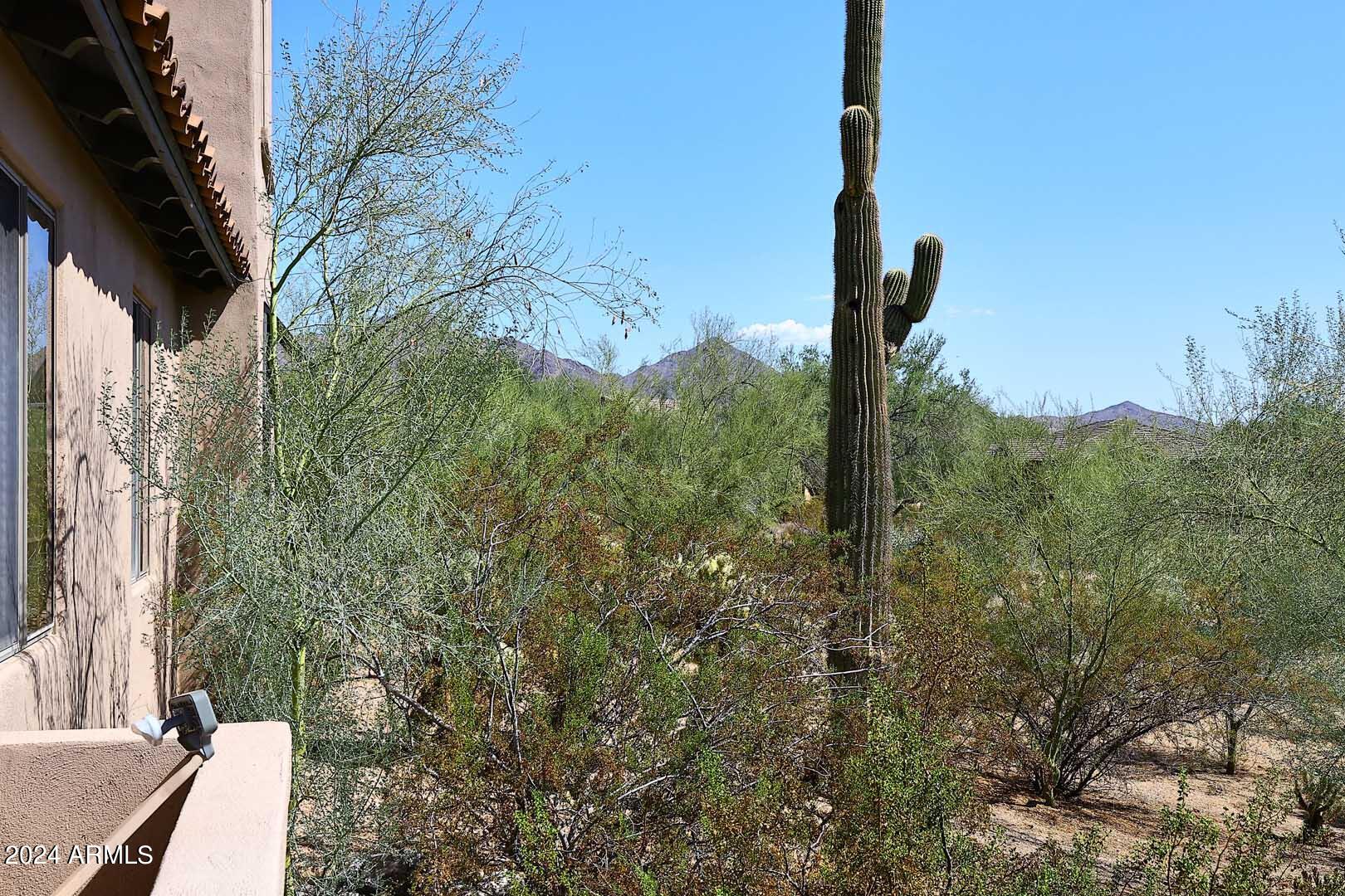 20801 North 90th Place, Unit 170 Scottsdale, AZ 85255 - Photo 8 of 52 Covered Patio-View