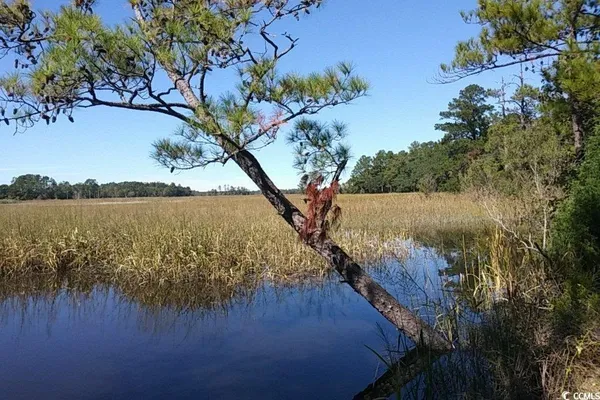 $54,995 | 36 Friendfield Marina Georgetown Sc 29440, Georgetown, SC 29440