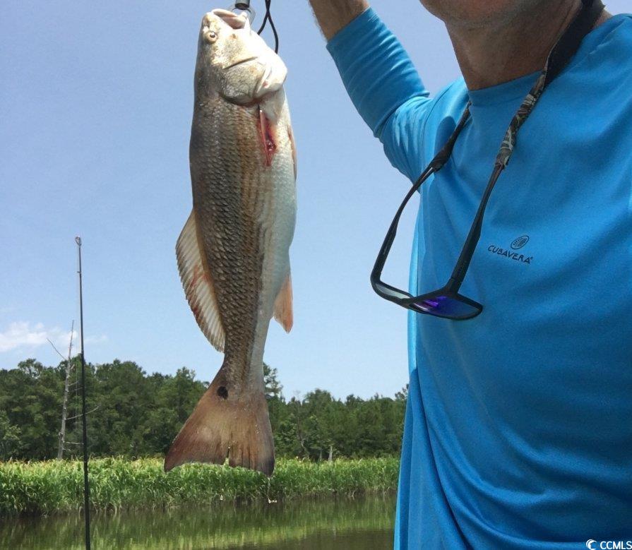 36 Friendfield Marina Georgetown Sc 29440 Georgetown, SC 29440 - Photo 14 of 18