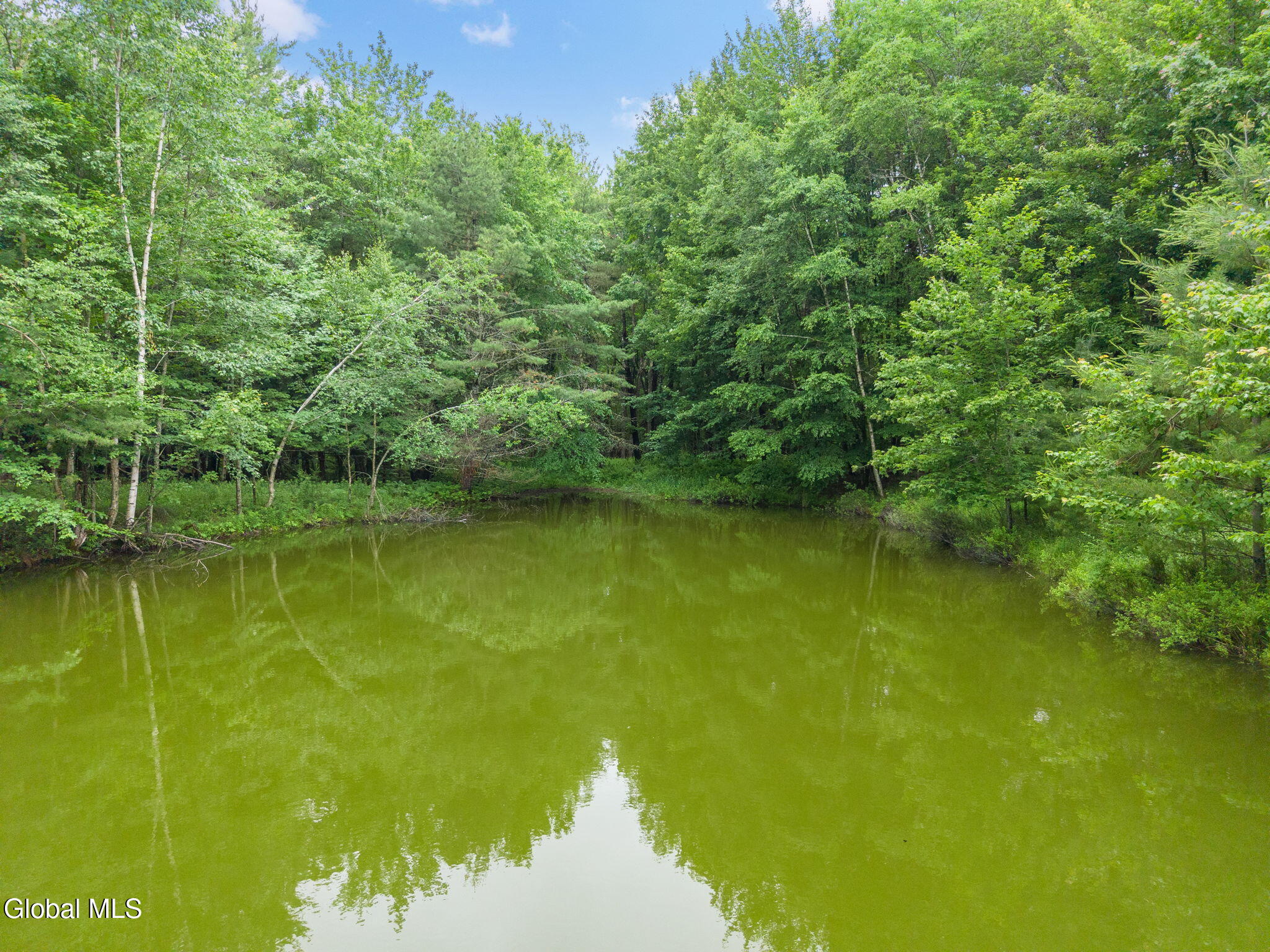 159 Ely Road Gilboa, NY 12076 - Photo 77 of 83 75-159ElyRd_75