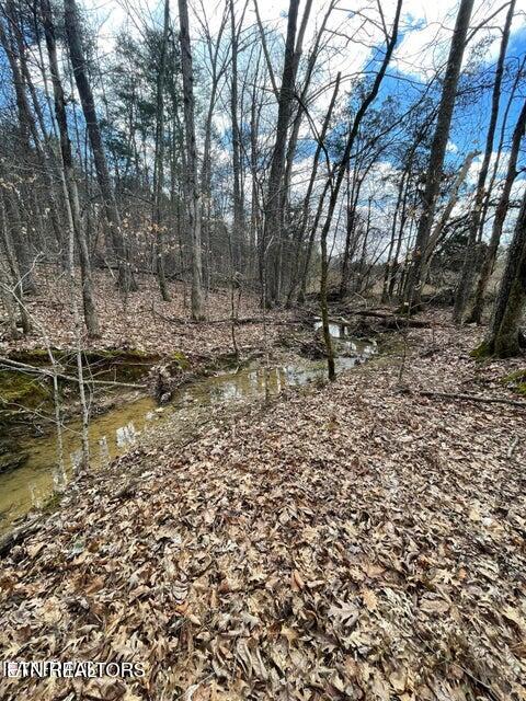 3908 East Raccoon Valley Drive Powell, TN 37849 - Photo 3 of 5 3908 E Raccoon Valley 2