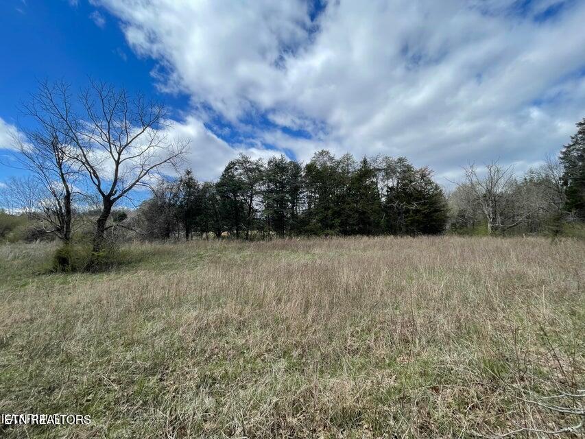 3908 East Raccoon Valley Drive Powell, TN 37849 - Photo 5 of 5 3908 E Raccoon Valley