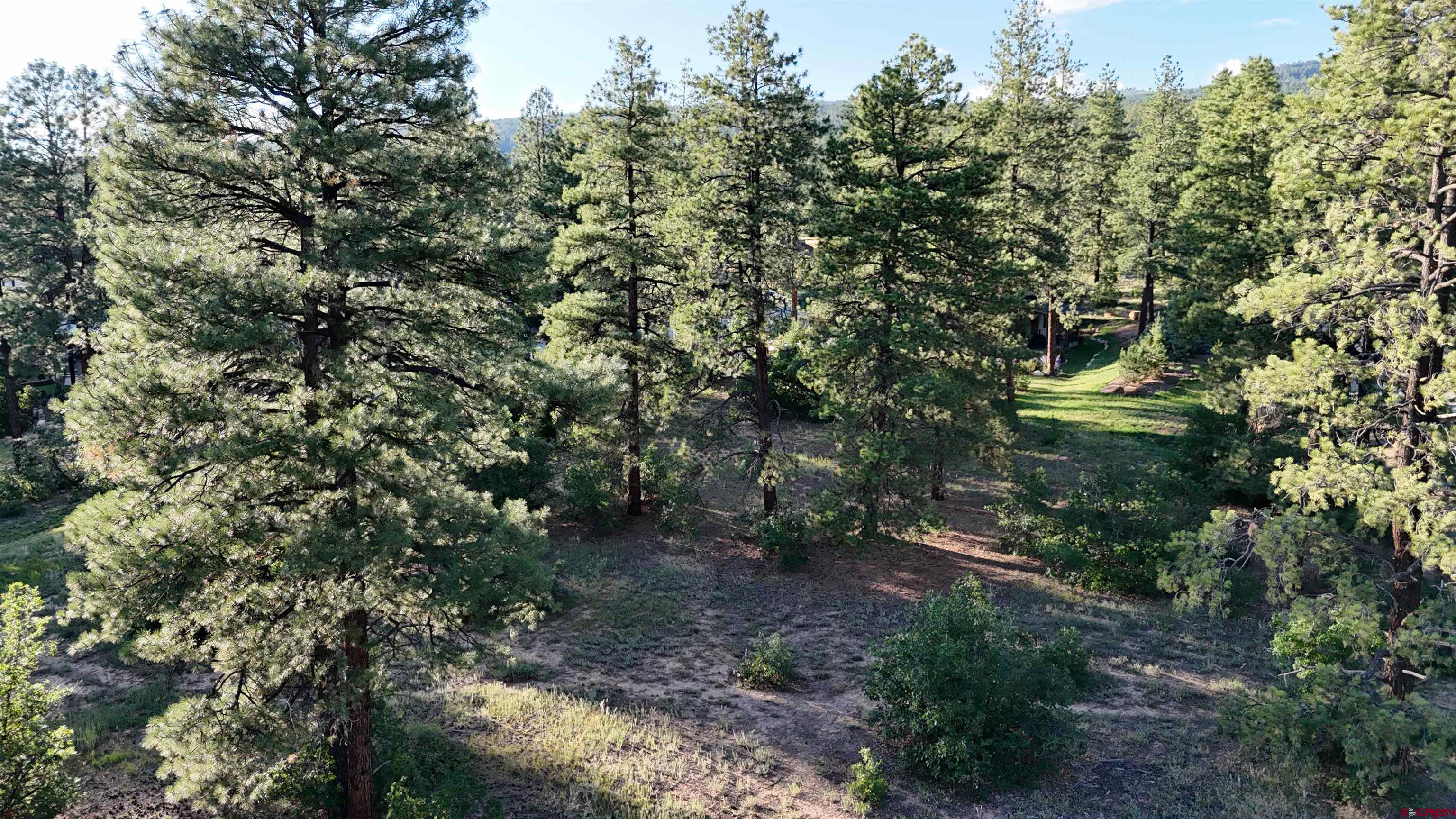 91 Engine Creek Court Durango, CO 81301 - Photo 1 of 7 a view of a forest with large trees