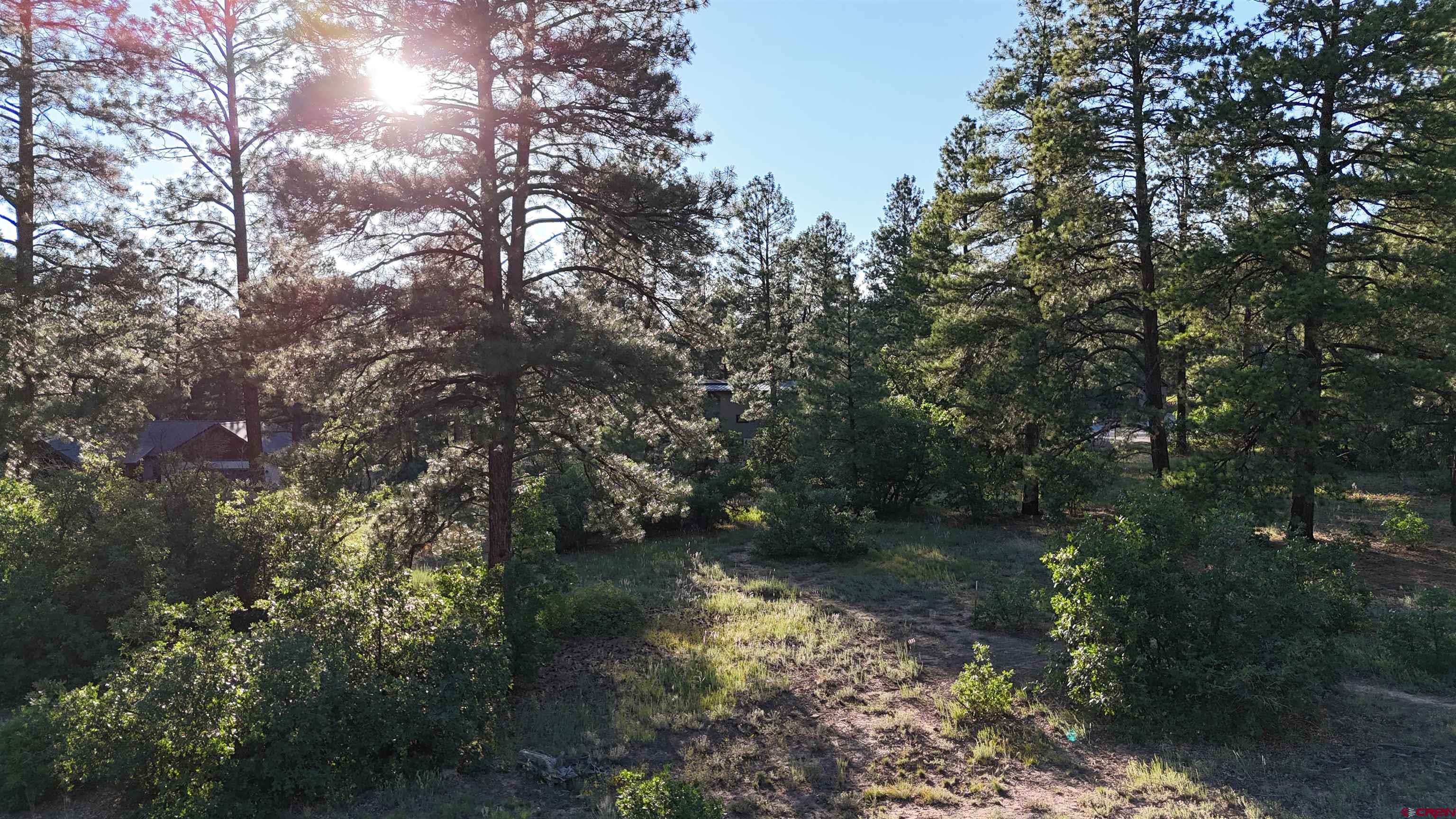 91 Engine Creek Court Durango, CO 81301 - Photo 2 of 7 a backyard of a house with lots of green space