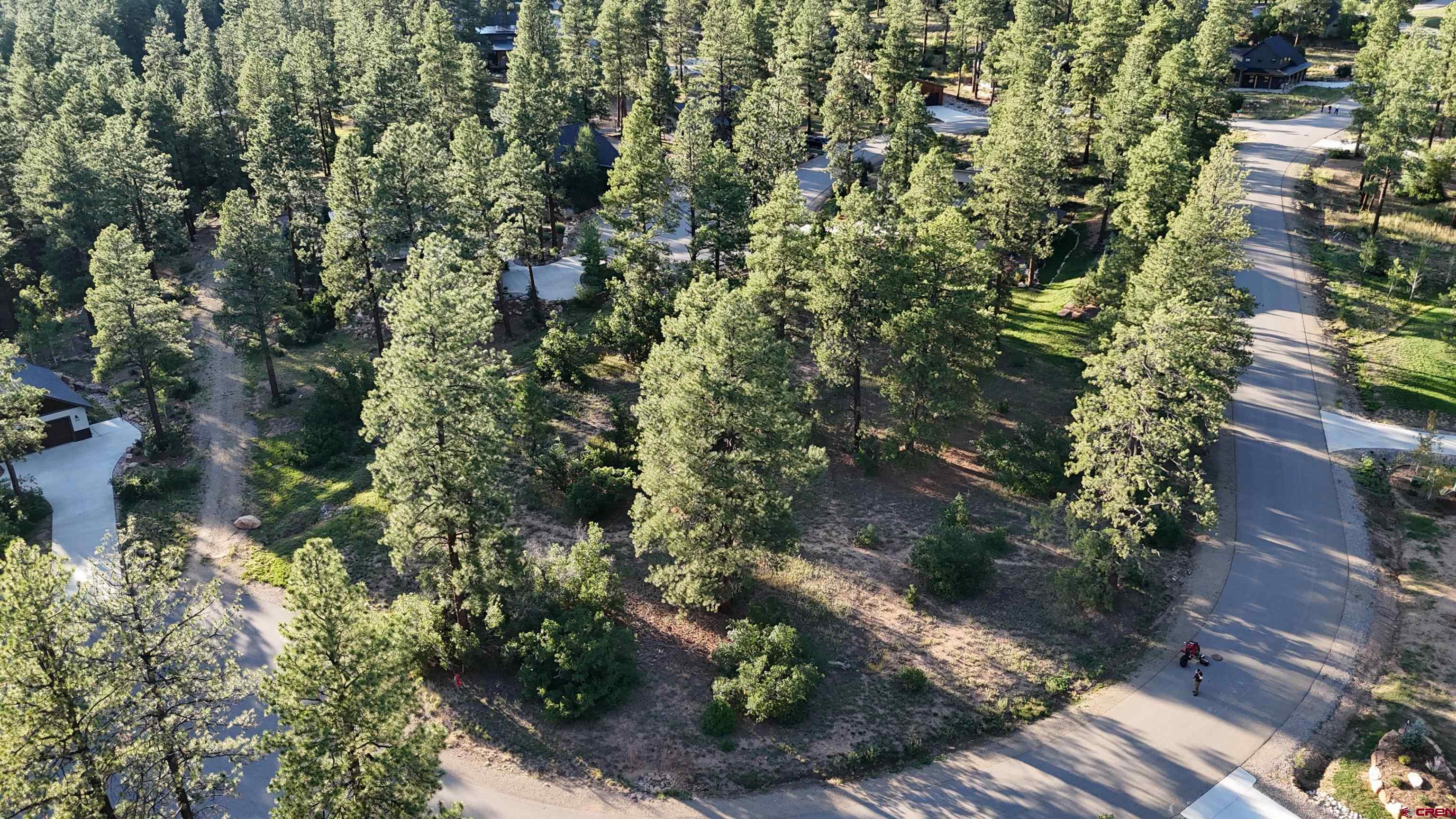 91 Engine Creek Court Durango, CO 81301 - Photo 3 of 7 a view of a garden with plants