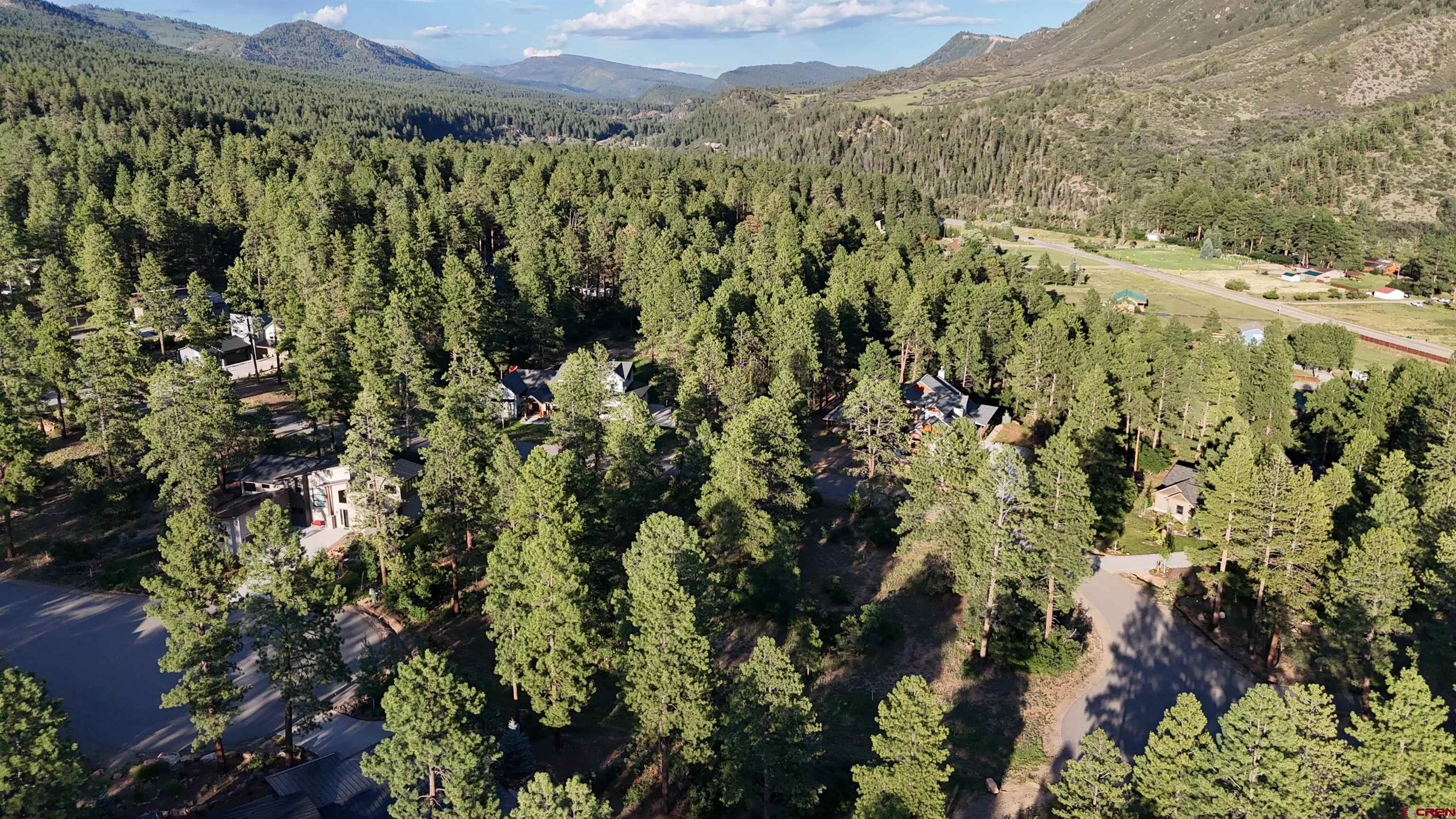 91 Engine Creek Court Durango, CO 81301 - Photo 7 of 7 a view of a lush green forest with a lush green forest
