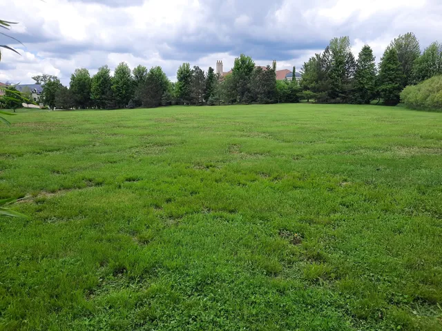 a view of field with green space