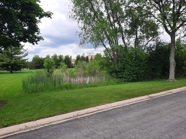 a view of a grassy field with trees