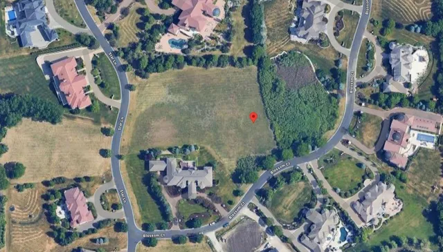 an aerial view of a fireplace with table and plants