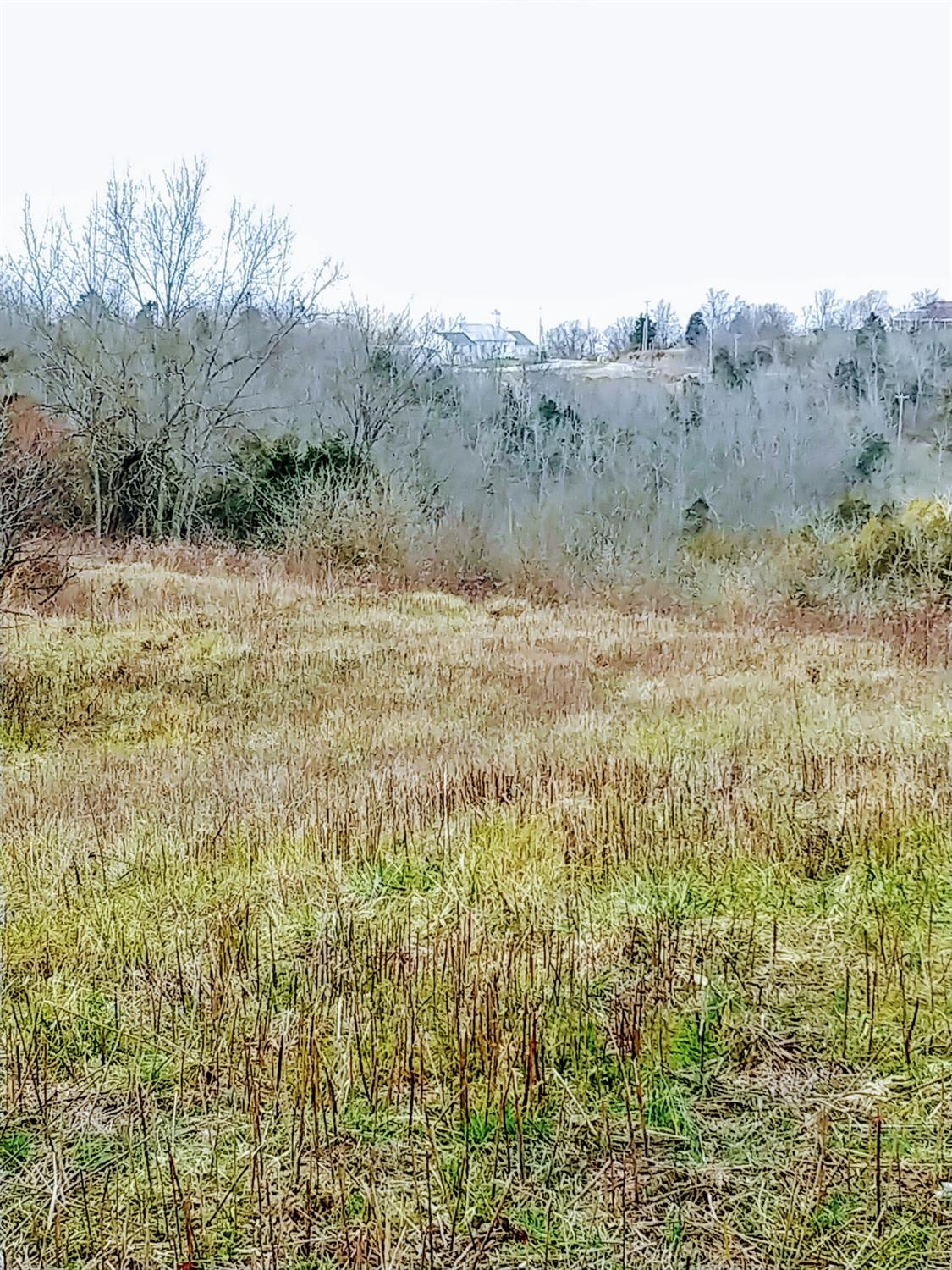 1346 Hunters Ferry Road Nicholasville, KY 40356 - Photo 23 of 29 Listing Photo