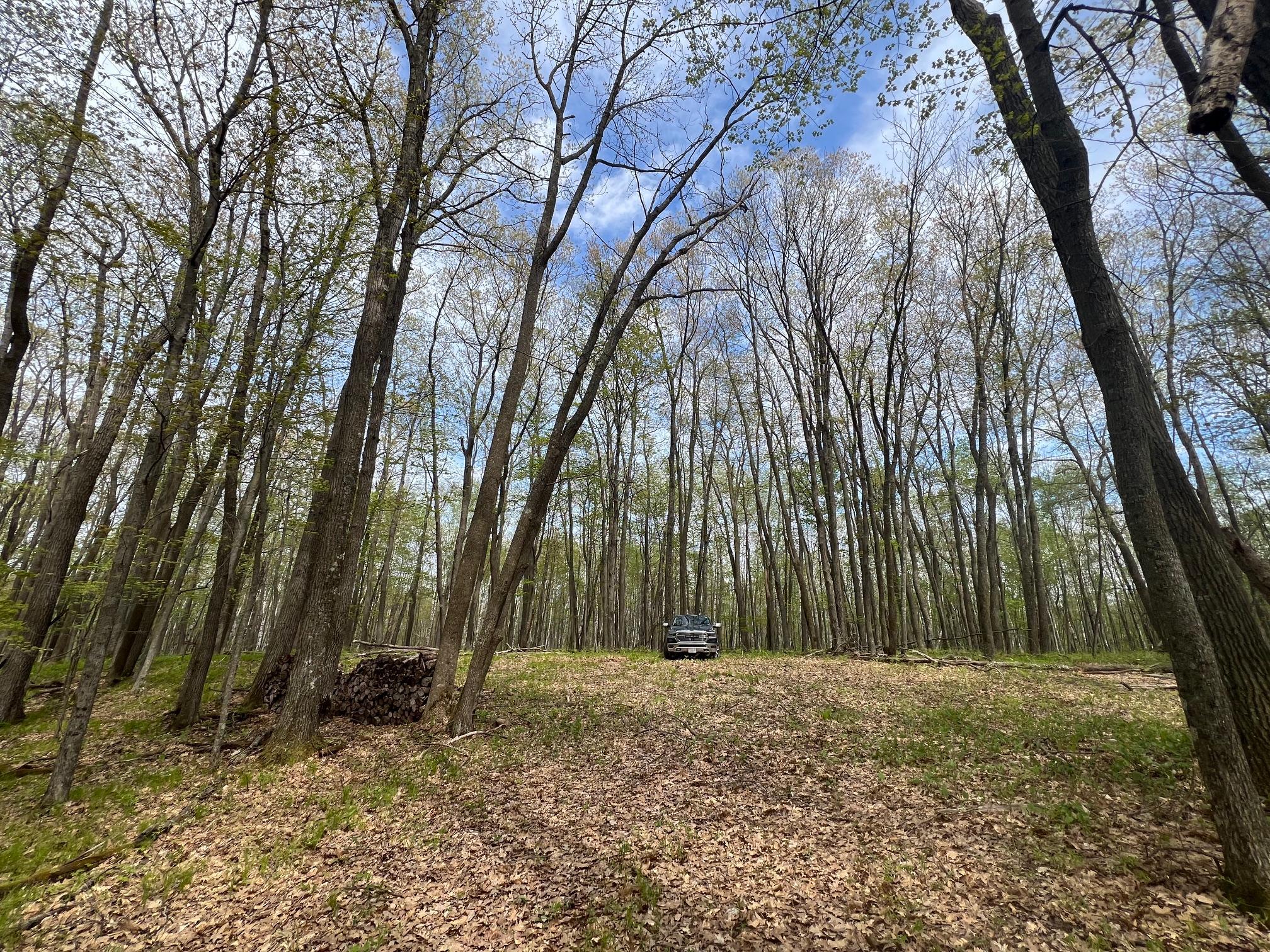 N8661 Sand Pit Road Trego, WI 54888 - Photo 7 of 20