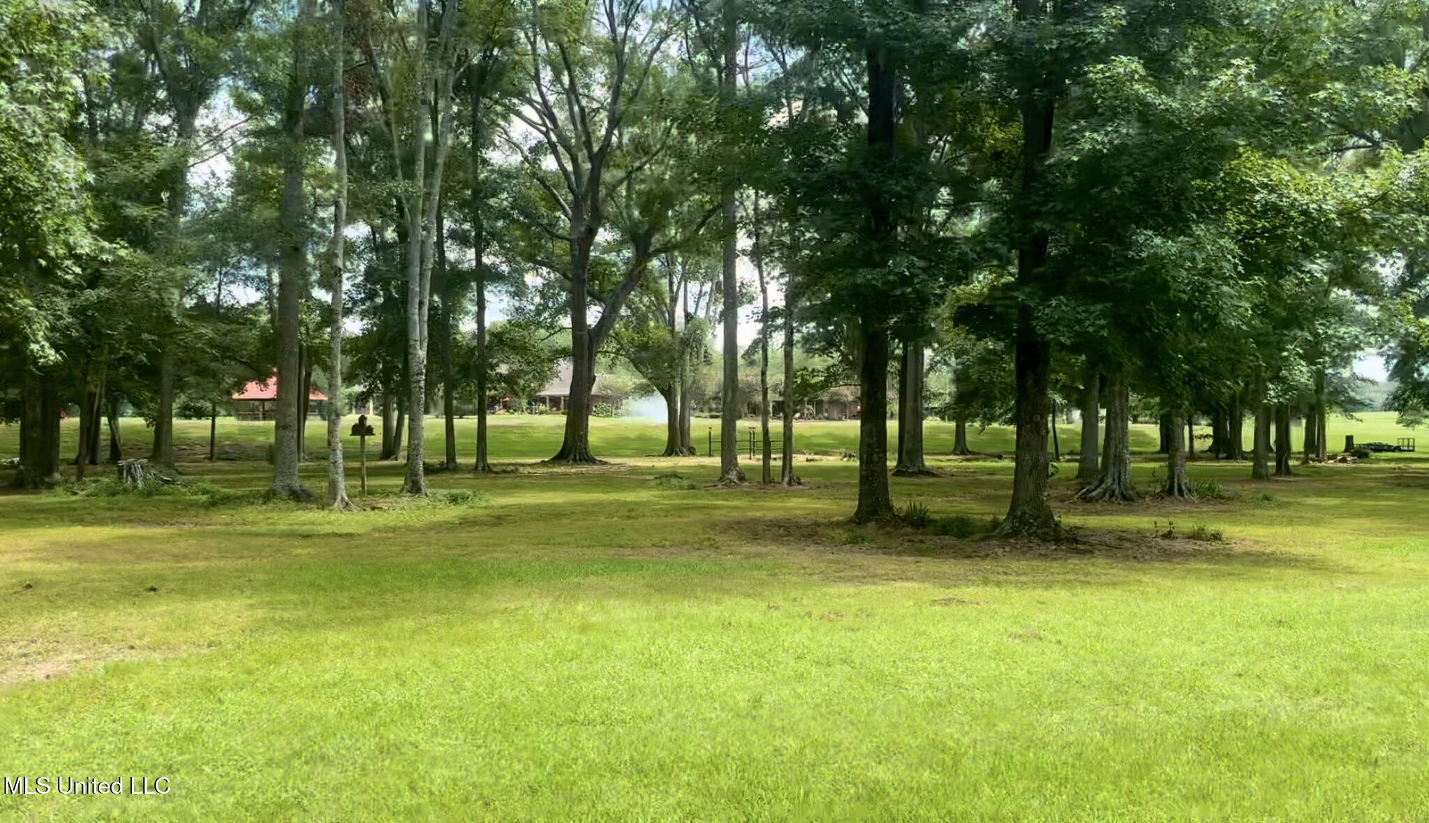 3340 Volley Campbell Road Terry, MS 39170 - Photo 63 of 65 IMG_8234