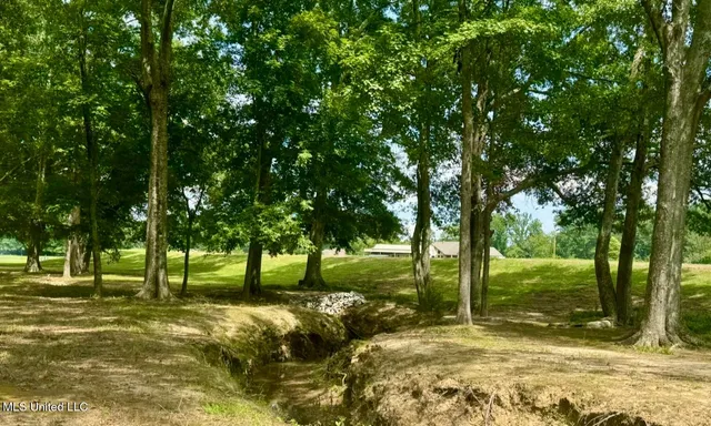 $1,375,000 | 3340 Volley Campbell Road, Terry, MS 39170