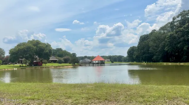 $1,375,000 | 3340 Volley Campbell Road, Terry, MS 39170