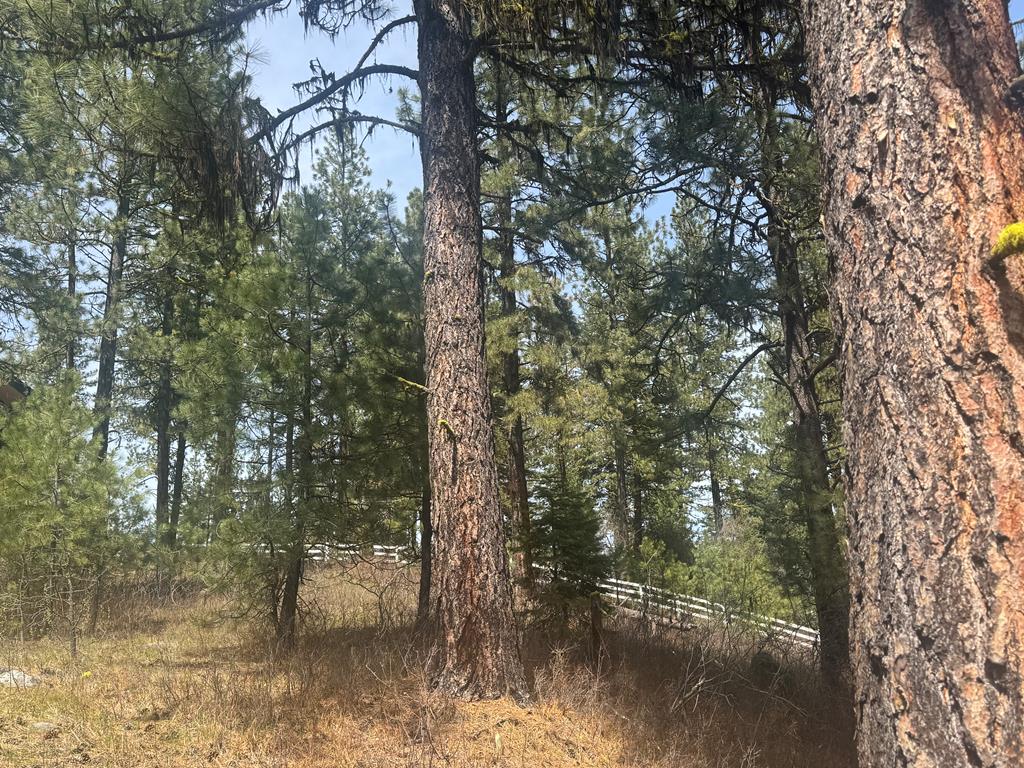 474 Timbercrest Loop, Unit 7 McCall, ID 83638 - Photo 3 of 10