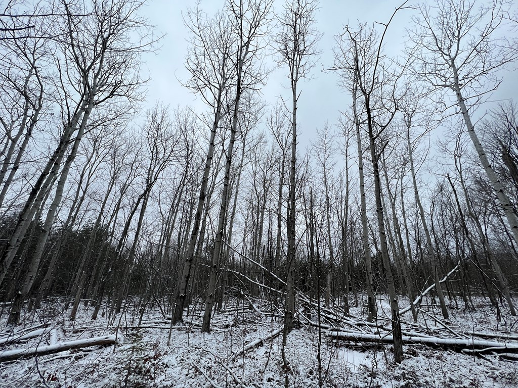 Tbd Juddville Hill Road Fish Creek, WI 54212 - Photo 24 of 31