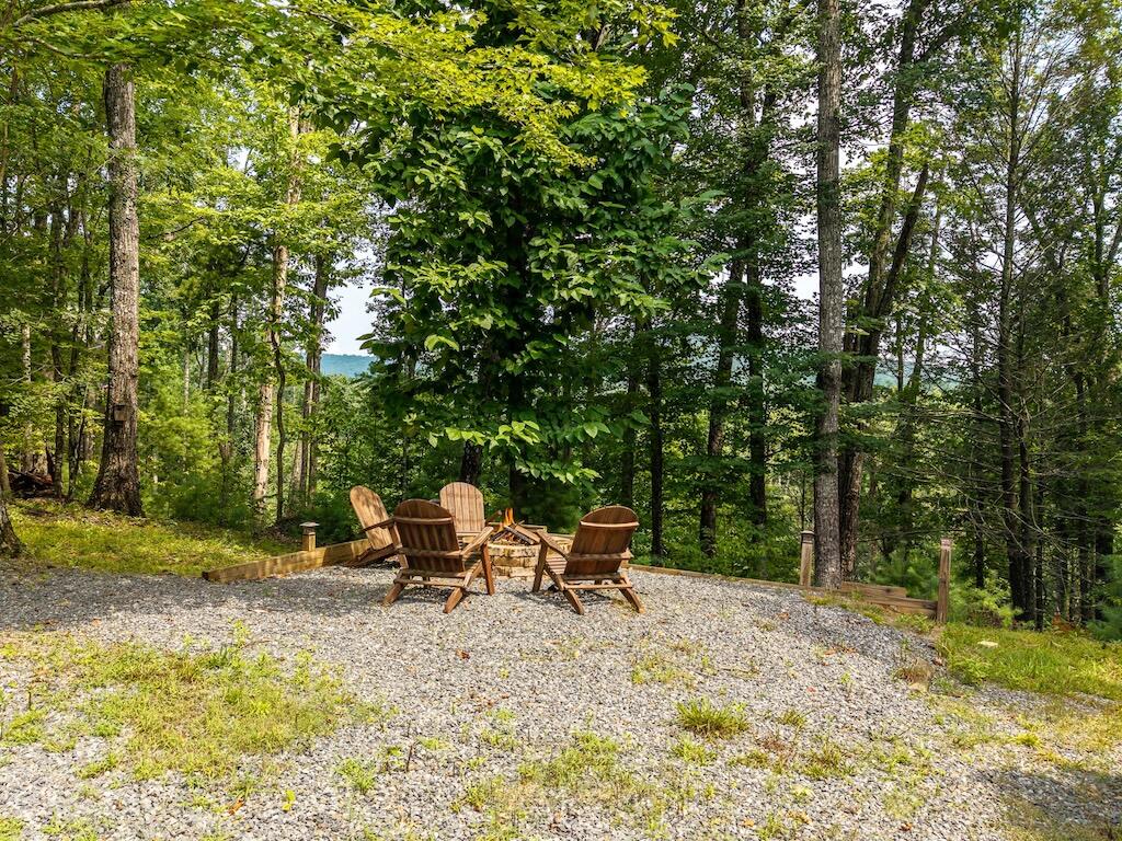 120 Bell Camp Road Blue Ridge, GA 30513 - Photo 26 of 34 Gallery Image 26