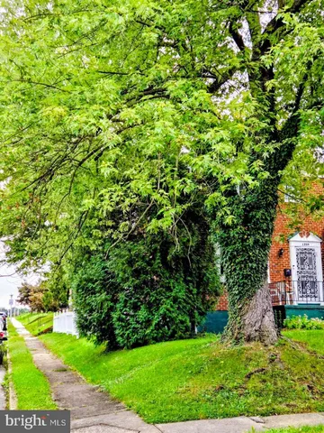 a view of a yard with plants
