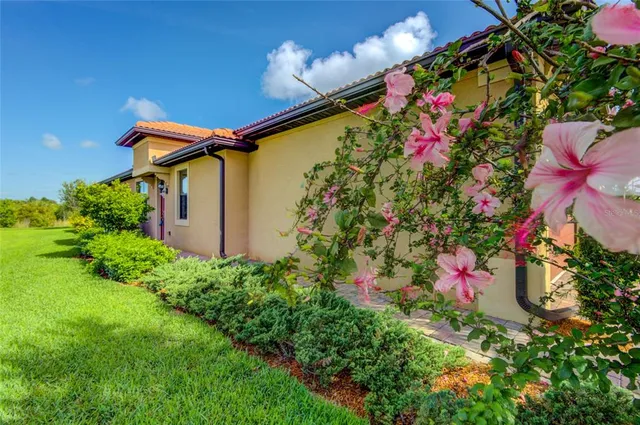 a view of an ocean beach