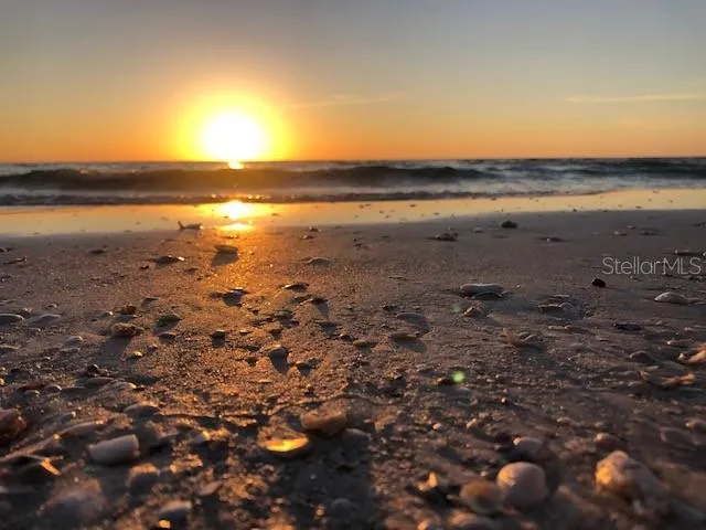 $2,200 | 12232 Marsh Pointe Road, Sarasota, FL 34238