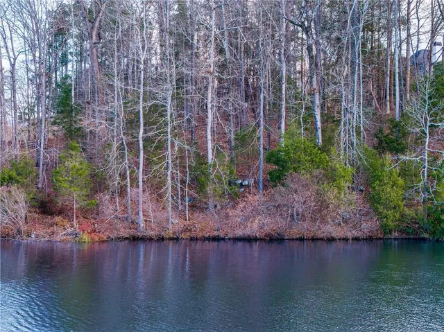 a view of a park with large trees