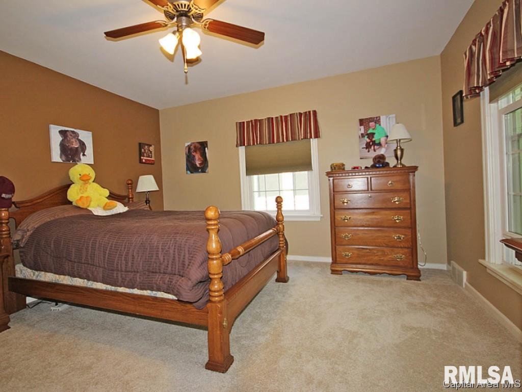 2011 South Walnut Street Springfield, IL 62704 - Photo 8 of 19