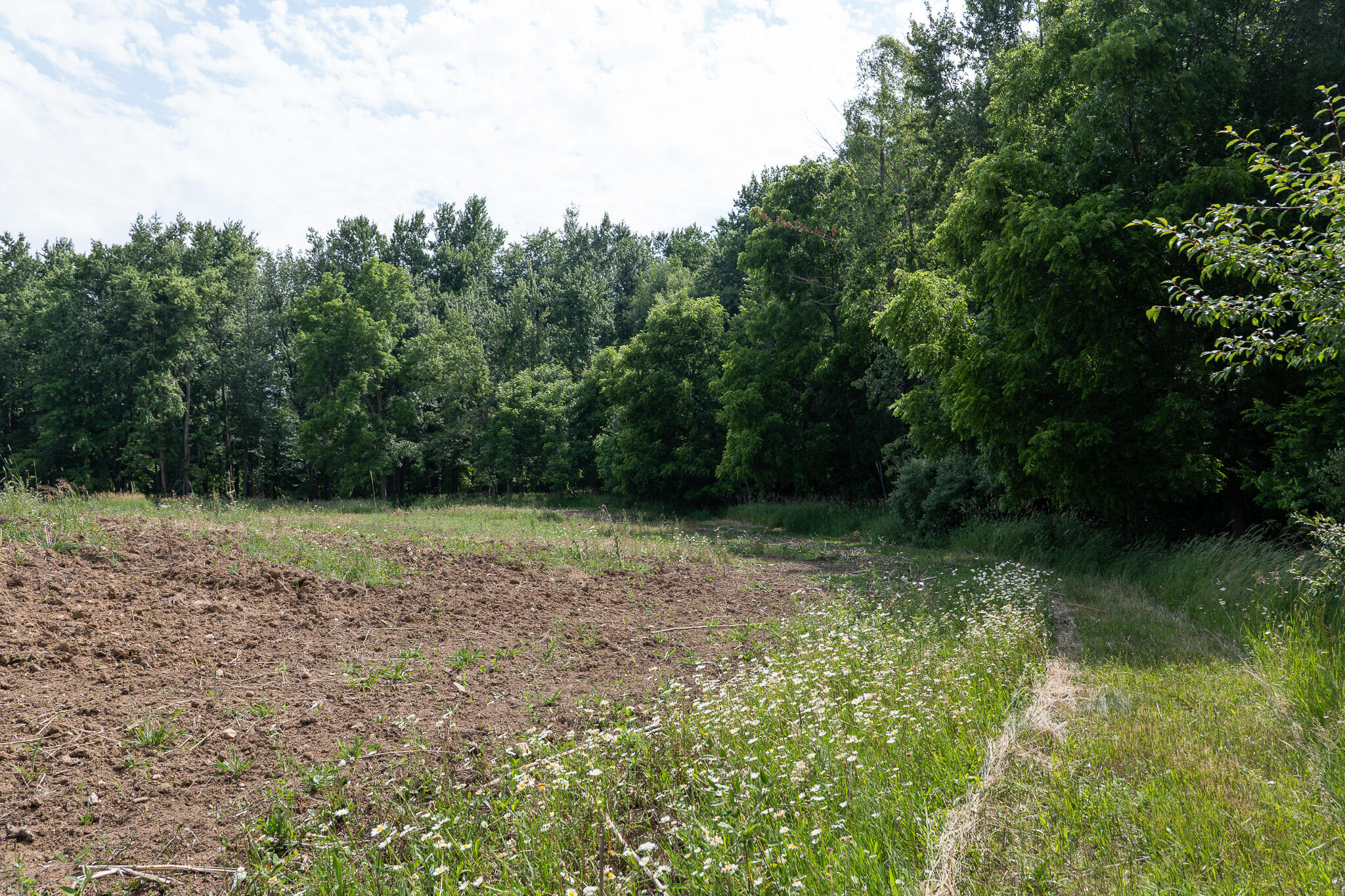 3282 Jerome Road North North Adams, MI 49262 - Photo 14 of 34 P1067848