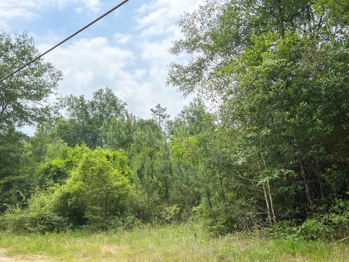 13 Old Arco Road Silsbee, TX 77656 - Photo 2 of 8