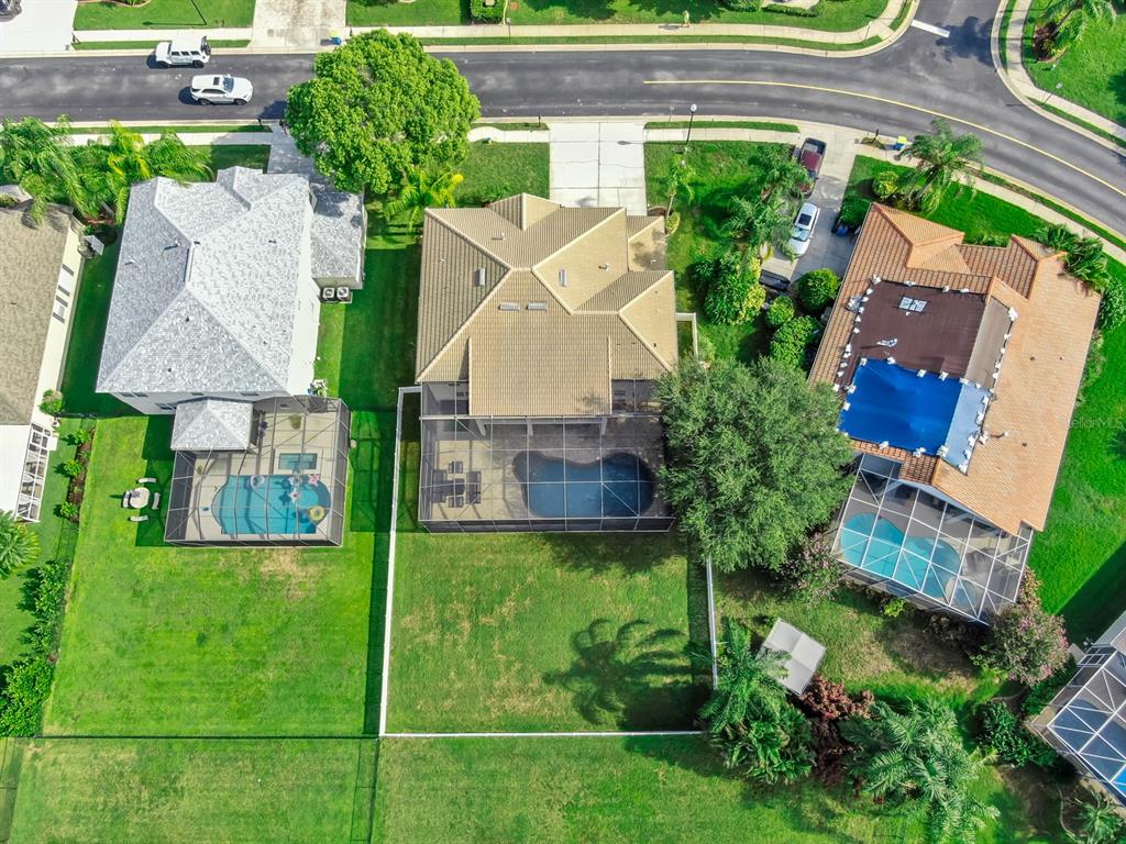 2336 Winsloe Drive Trinity, FL 34655 - Photo 44 of 45