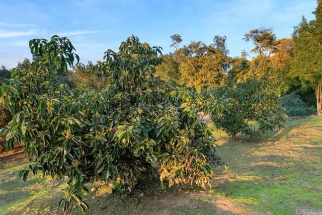 $1,749,000 | 29059 Meadow Glen Way West, Escondido, CA 92026