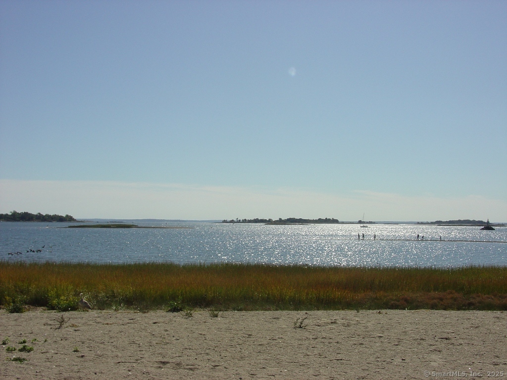 247 Flax Hill Road, Unit 1(FIRST) Norwalk, CT 06854 - Photo 35 of 39