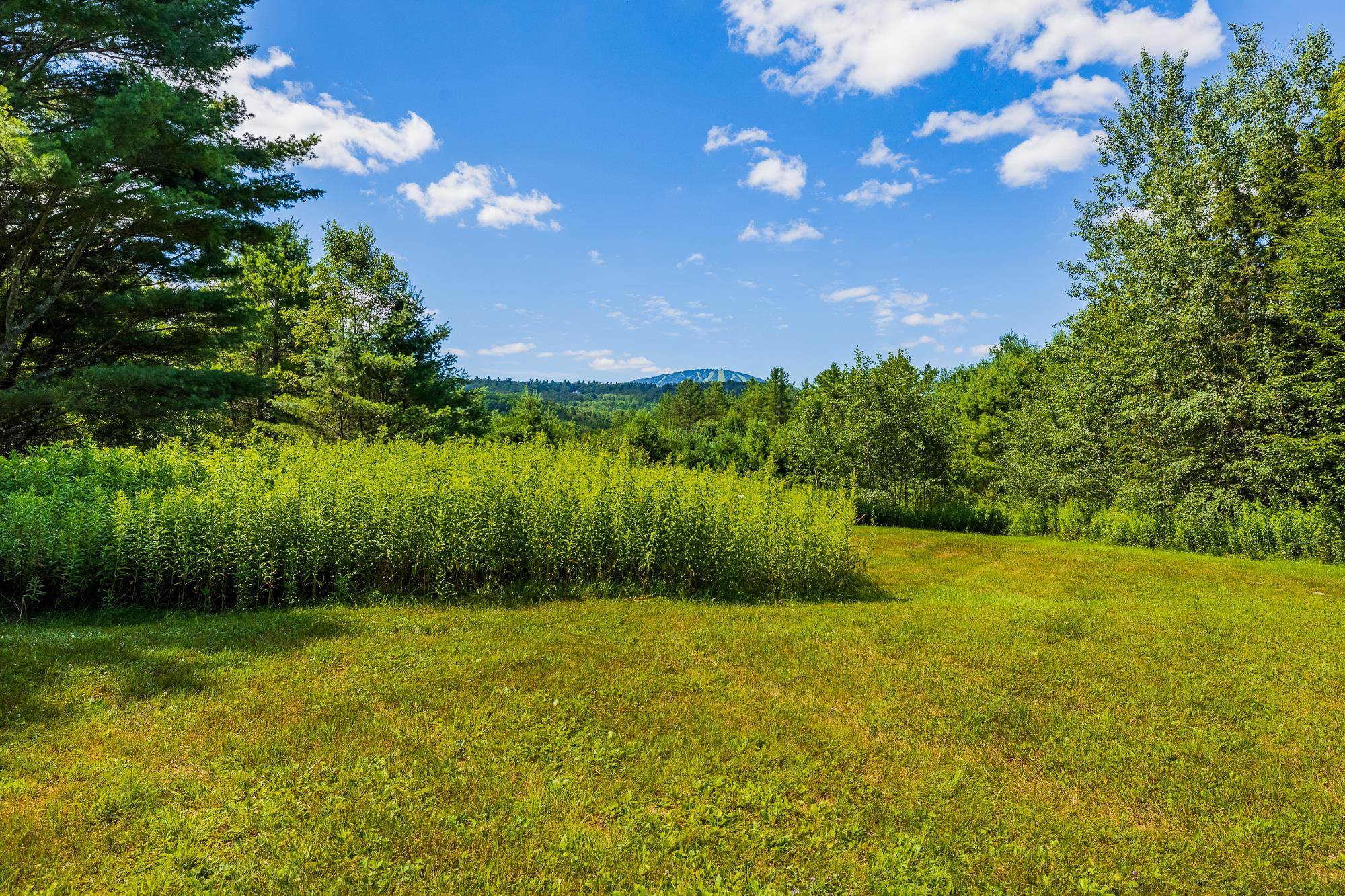 0 Winhall Hollow Road, Unit LOT 23 RAVENWOOD Winhall, VT 05340 - Photo 16 of 38