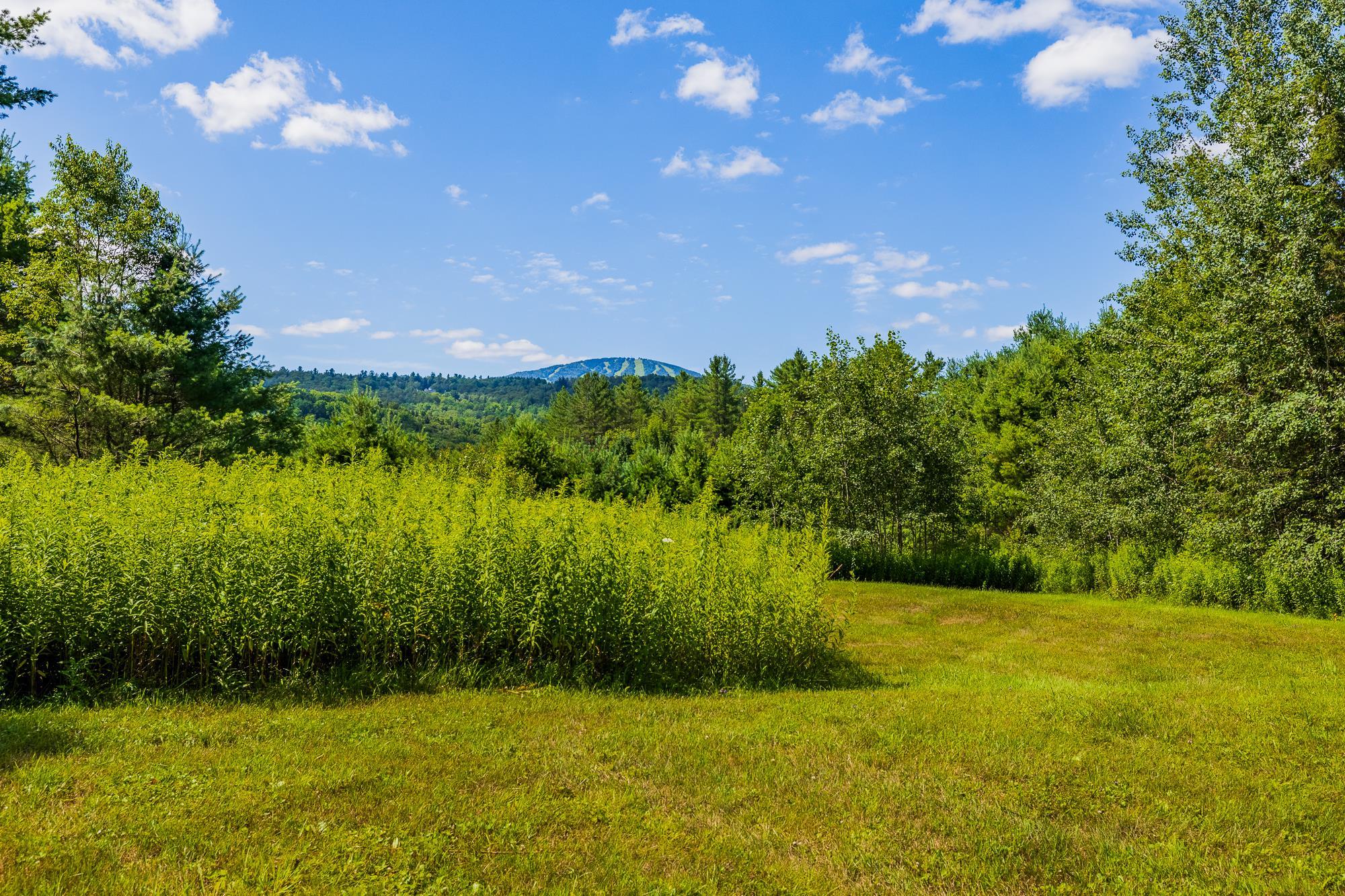 0 Winhall Hollow Road, Unit LOT 23 RAVENWOOD Winhall, VT 05340 - Photo 26 of 38