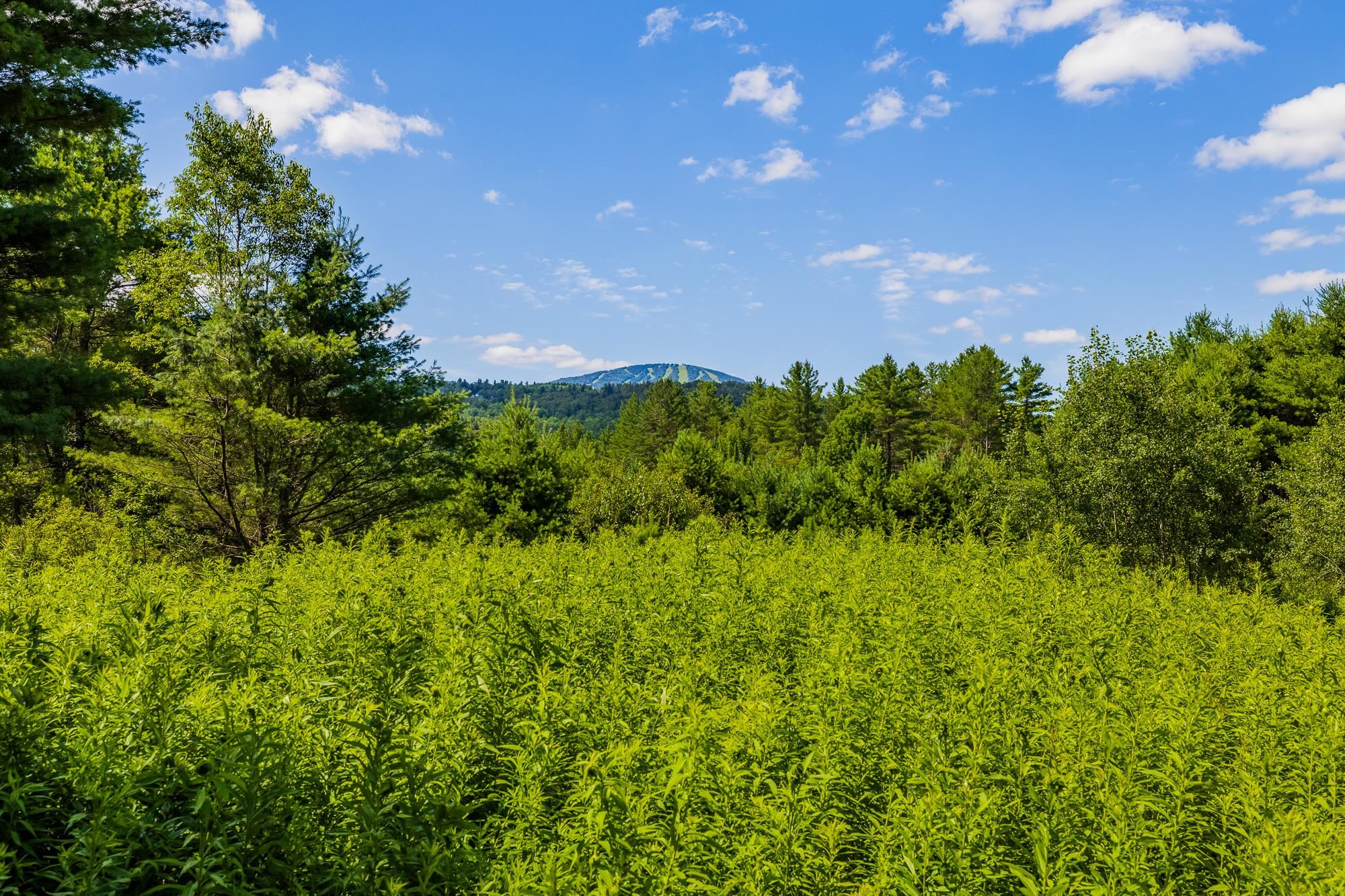 0 Winhall Hollow Road, Unit LOT 23 RAVENWOOD Winhall, VT 05340 - Photo 27 of 38