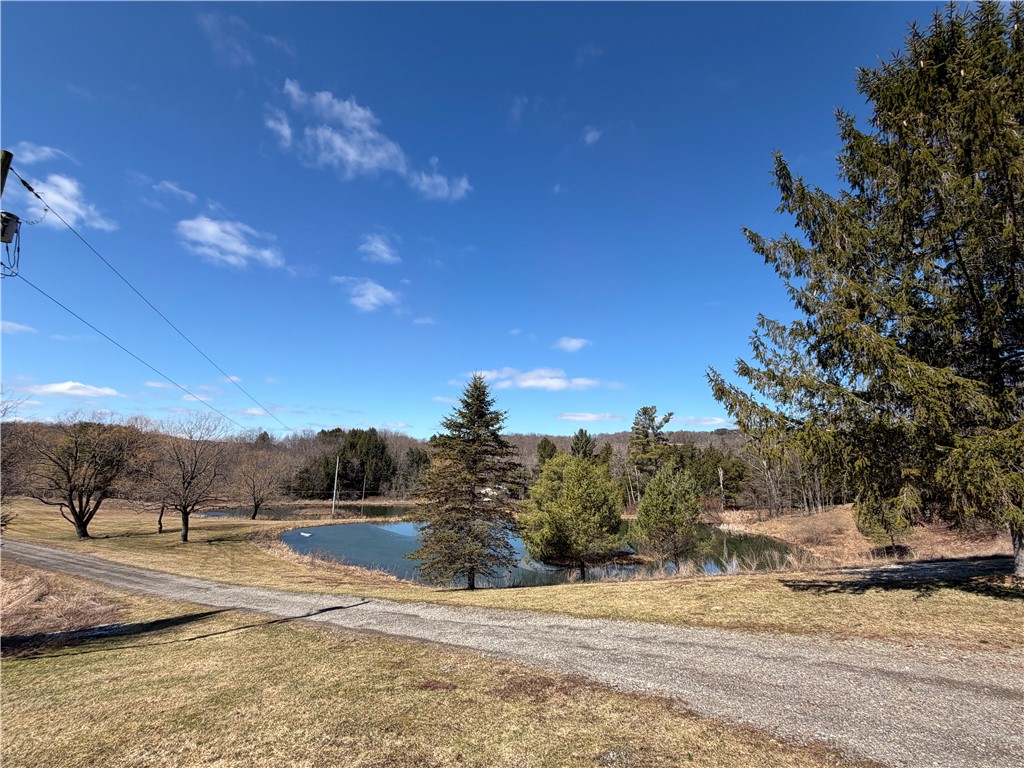 186 Bates-Wilson Road Plymouth, NY 13844 - Photo 3 of 47