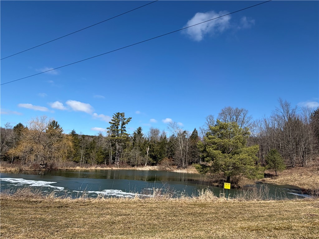 186 Bates-Wilson Road Plymouth, NY 13844 - Photo 35 of 47